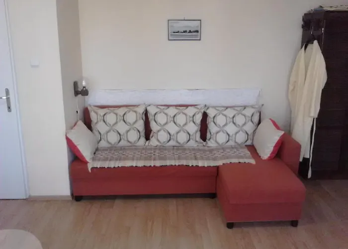Apartament Friends